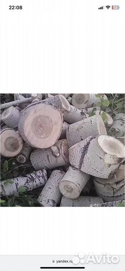 Дрова тополь бесплатно