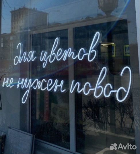 Большие розы букет роз