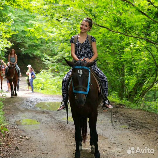 Конные прогулки в п. Лазаревское