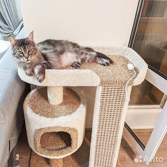 Когтеточка домик. Игровой комплекс для кошек