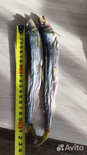 Корюшка вяленая зубатка (Камчатка )