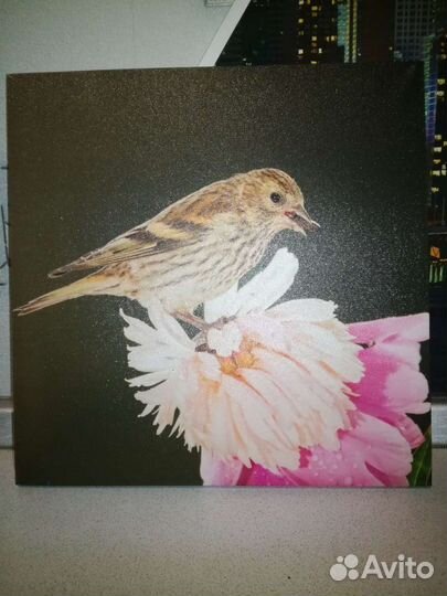 Панно (картина, картинка)