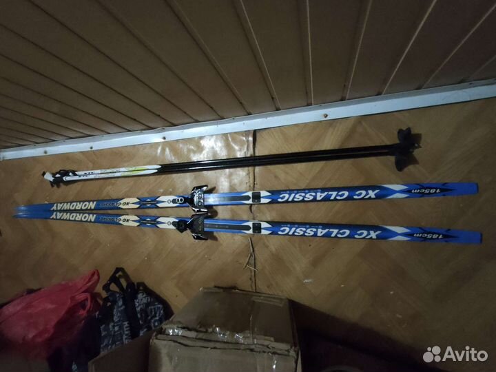 Беговые лыжи