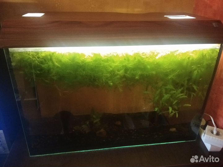 Аквариум
