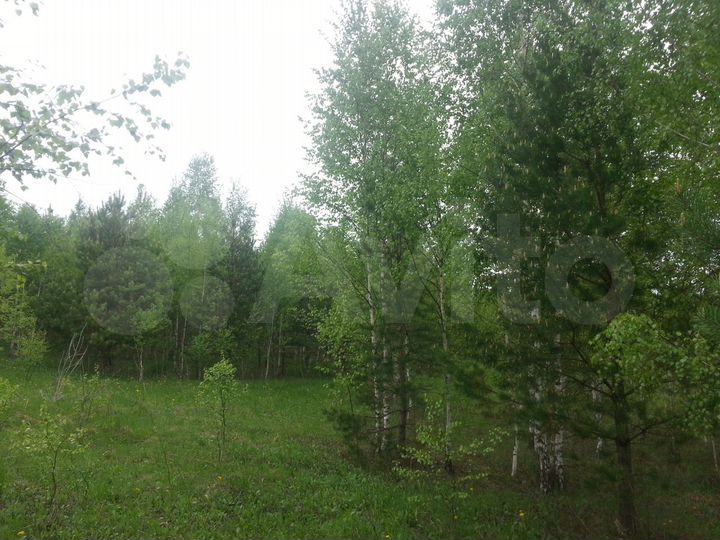 Участок 1,26 га (СНТ, ДНП)