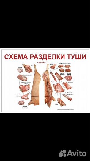 Продам мясо свинина свежее
