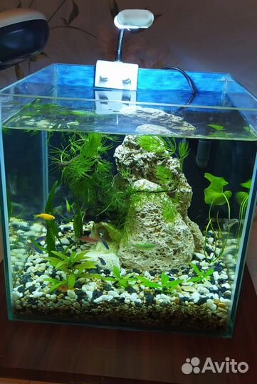 Обслуживание аквариумов