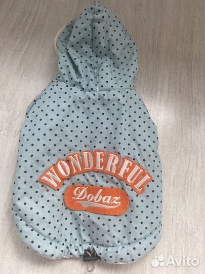 Одежда для маленькой собачки