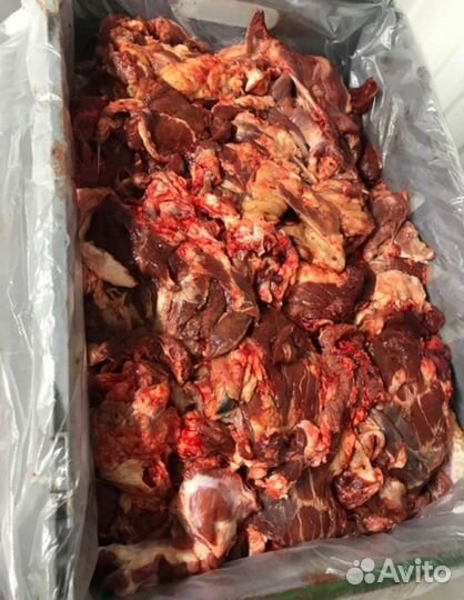 Еда для собак