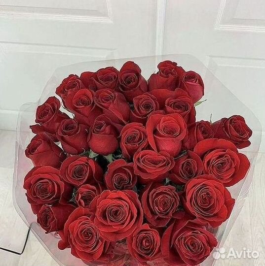 Розы Букеты Цветы Розы 31 101 151 201 Доставка