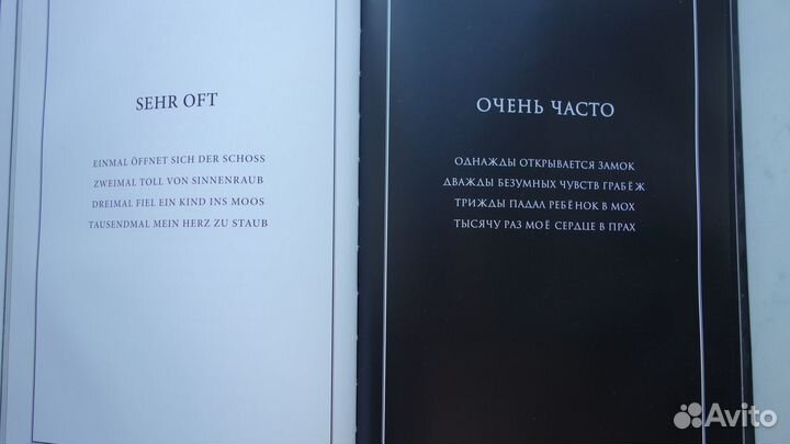 Тилль Линдеманн В тихой ночи