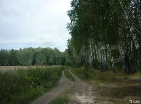 Участок 4 га (СНТ, ДНП)