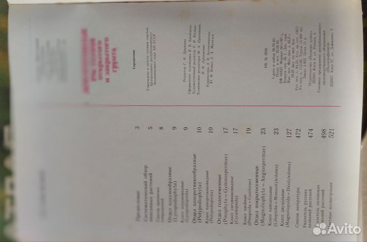 Декоративные растения открытого и закрытого грунта