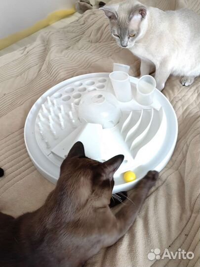 Игрушка антистресс для кошек