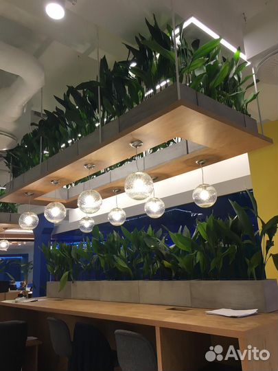 Озеленение и благоустройство территорий