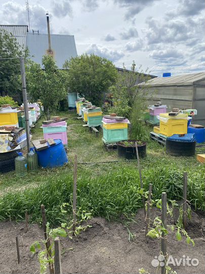 Пчелоинвентарь