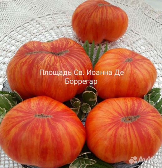 Семена томатов