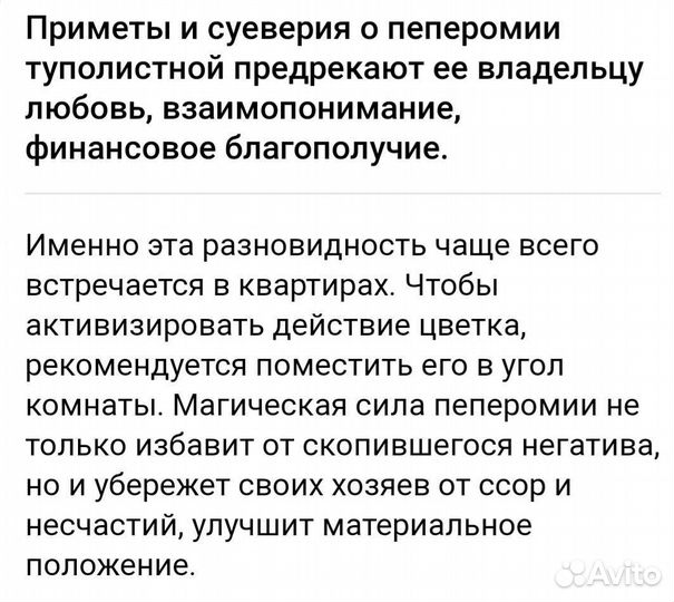 Цветок любви, денежный цветок