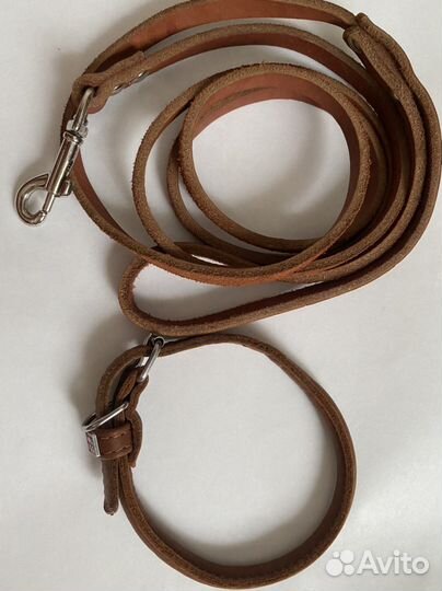 Поводок и ошейник
