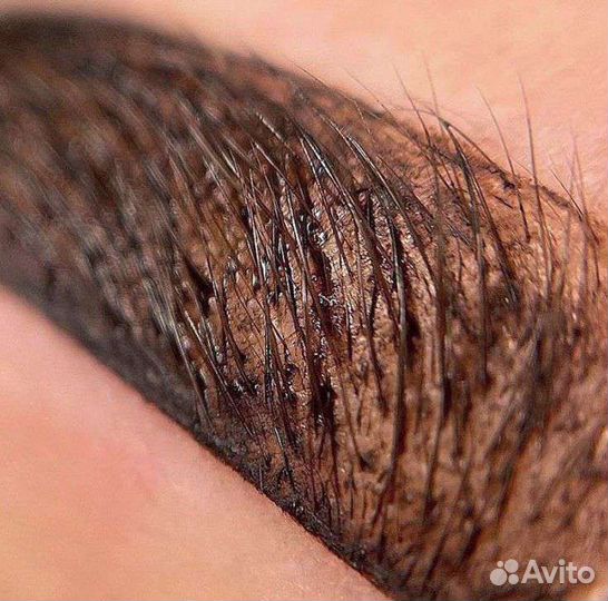 Обучение master бровист