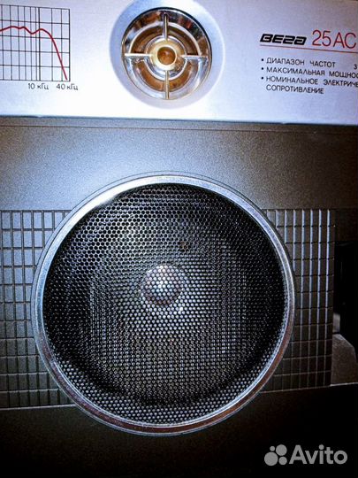 Колонки Вега 25ас 109-2