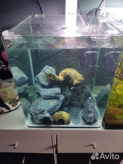 Аквариум Dennerle 30л, креветки Блю дрим