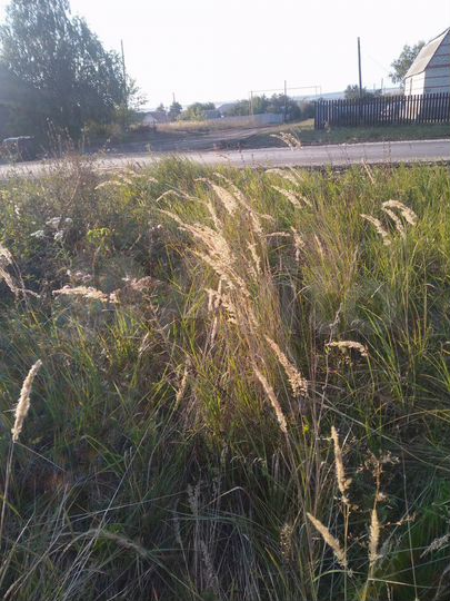 Участок 15 сот. (ИЖС)