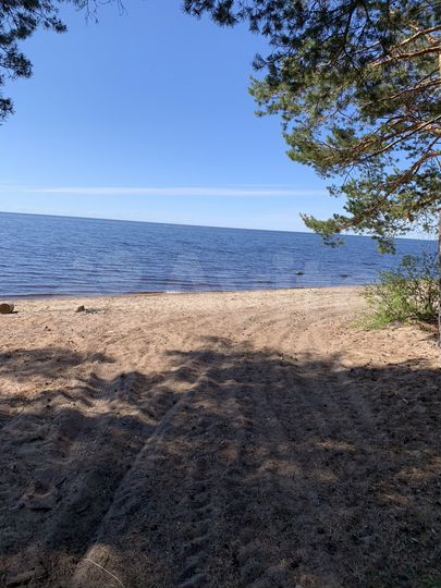 Участок 11,8 сот. (ИЖС)