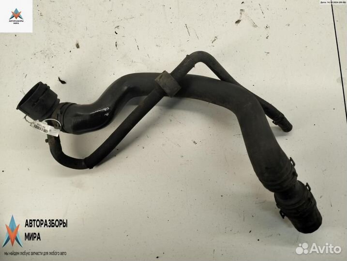 Патрубок радиатора Volkswagen Touran 2004