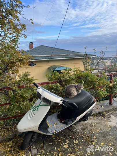 Японский зверь Honda tact 24 stand-up