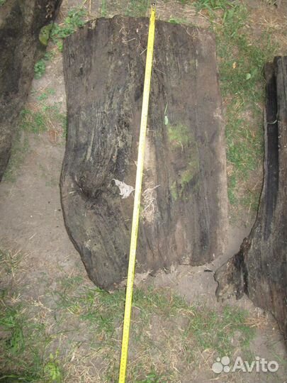 Мореный дуб