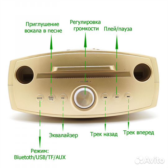 Караоке система sdrd SD-306 20Вт. Золото
