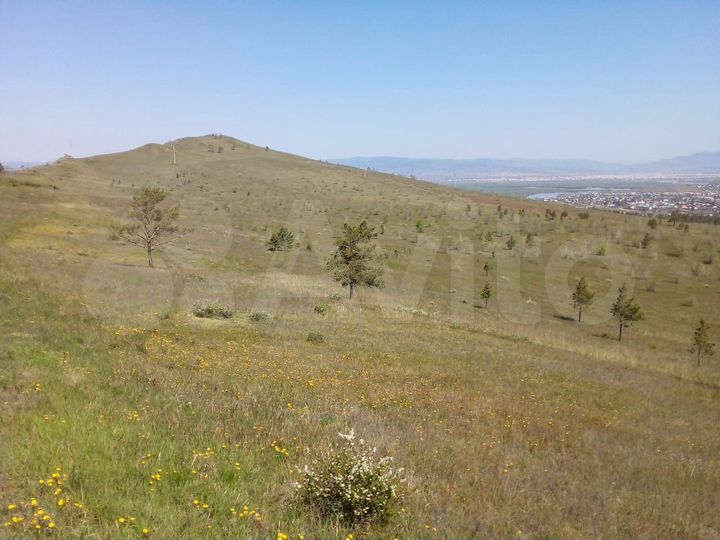 Участок 46 га (СНТ, ДНП)