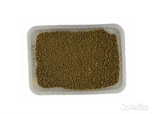 Carp Series для рыбалки