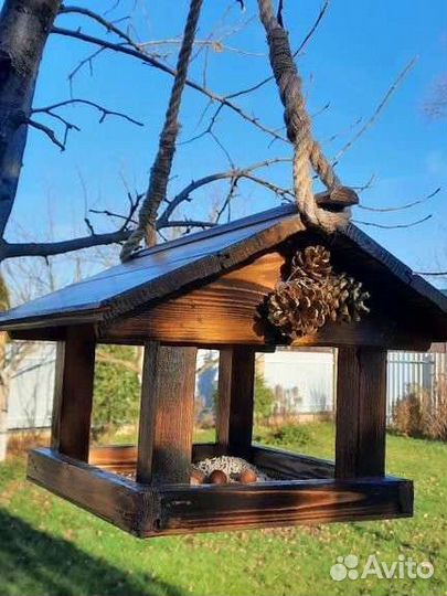 Кормушка для птиц и Белок