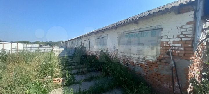Продаю ферму