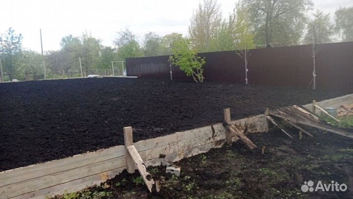 Рулонный газон 