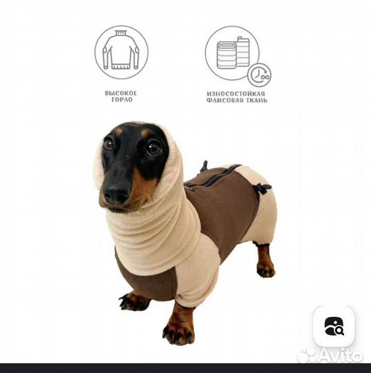 Флисовый комбинезон для таксы