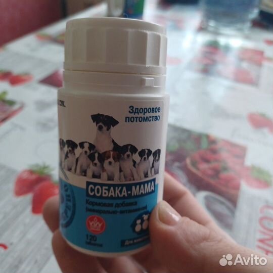 Сухой корм для собак проплан