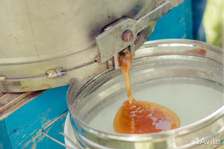 Продукты пчеловодства