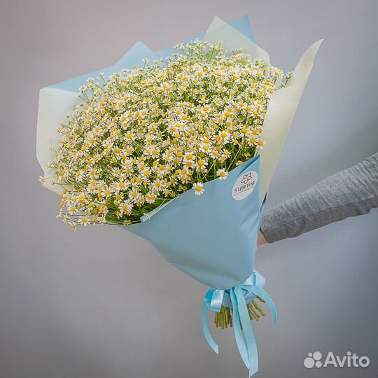 Букет 101 ромашка кустовая кустовая, цветы доставк