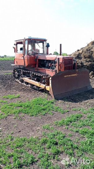 Трактор ВгТЗ ДТ-75, 2008