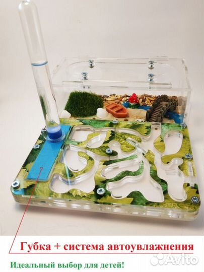 Муравьиная ферма акрилово-гипсовая