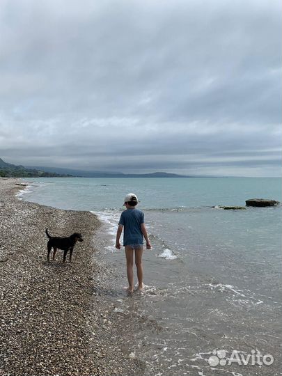 Йога тур в Абхазию 21-28.06