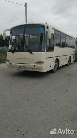 Пассажирские перевозки