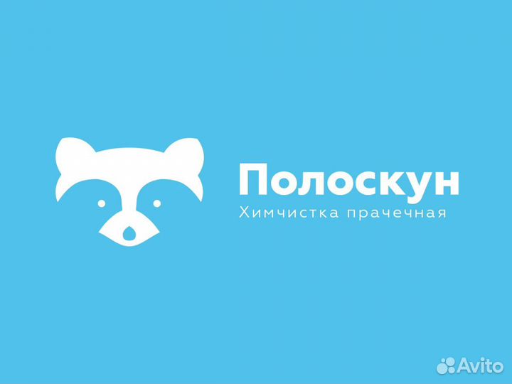 Водитель в прачечную
