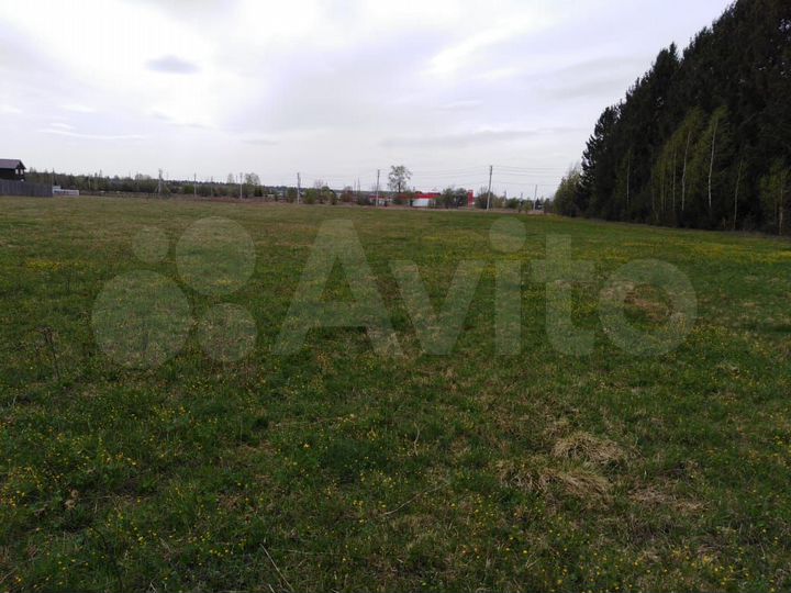 Участок 15,1 сот. (ИЖС)