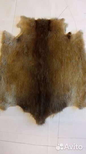Шкуры ондатры