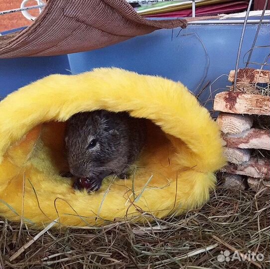 Меховые домики