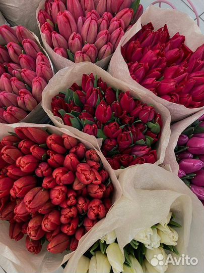 Букет из Тюльпанов доставка